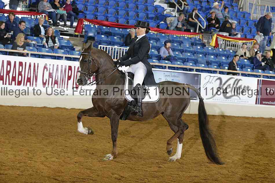 Proof 14usn_11184