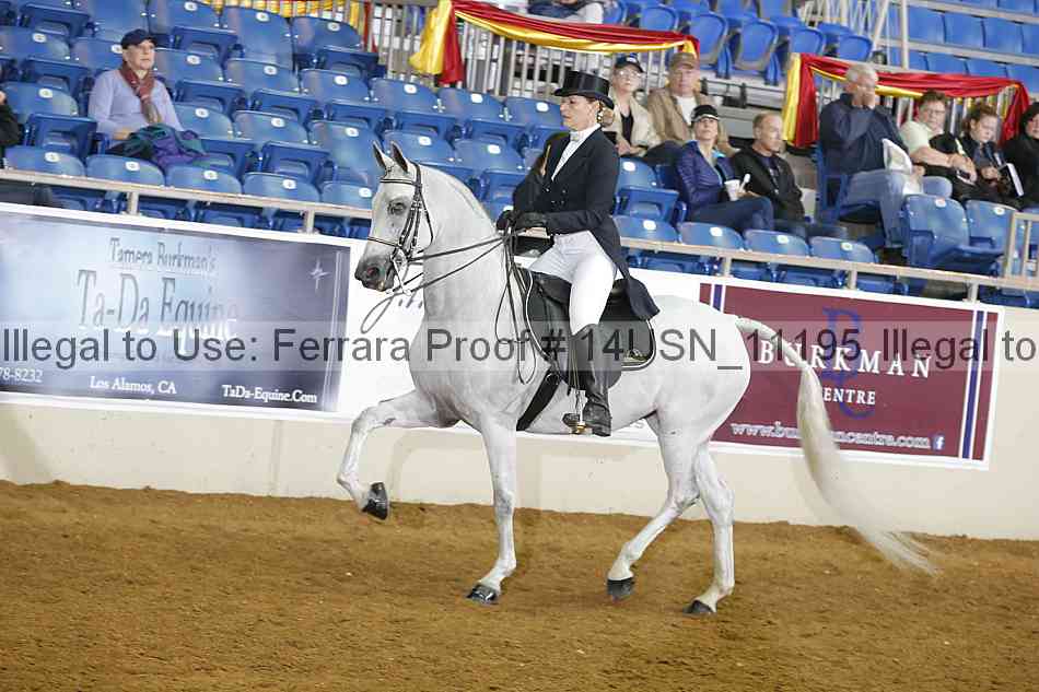 Proof 14usn_11195