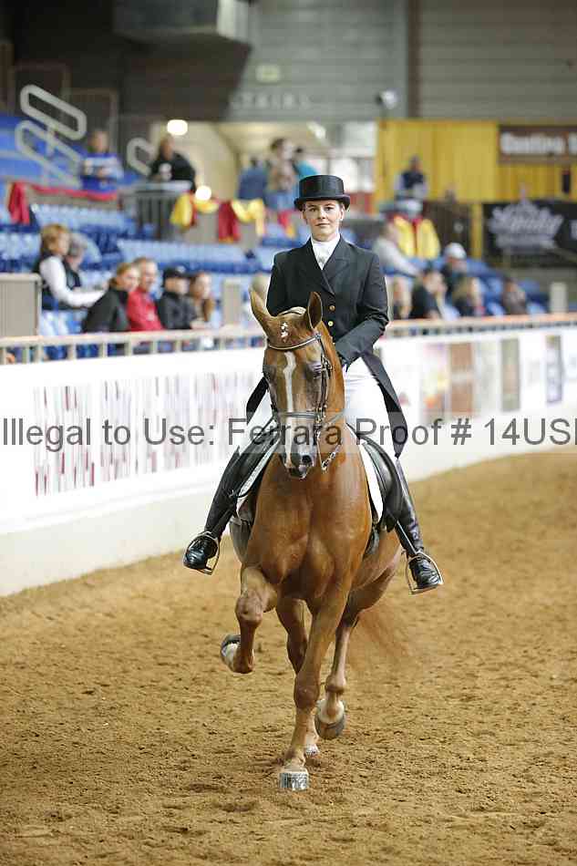 Proof 14usn_11196