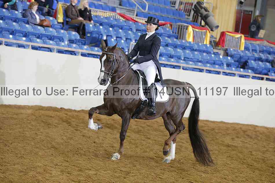Proof 14usn_11197