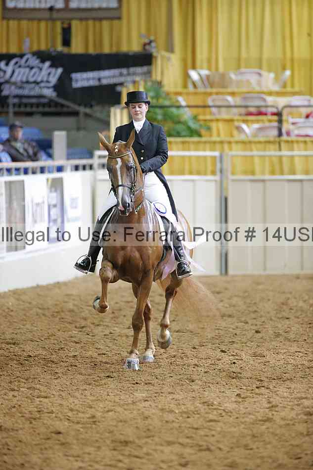 Proof 14usn_11205
