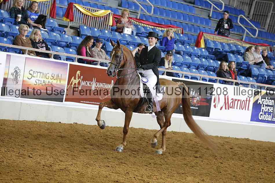 Proof 14usn_11208