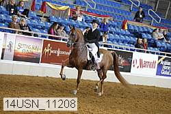 14usn_11208 proof