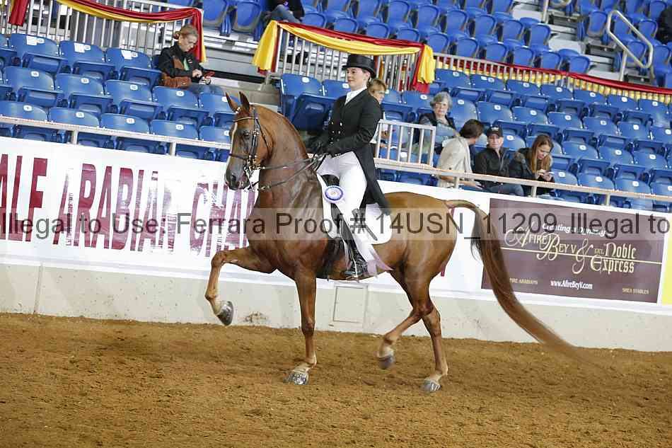 Proof 14usn_11209