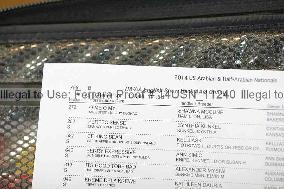 Proof 14usn_11240