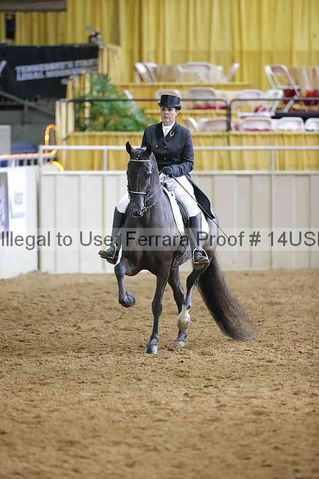 Proof 14usn_11248