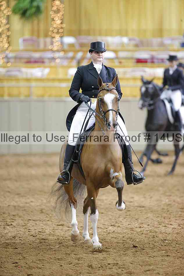 Proof 14usn_11254