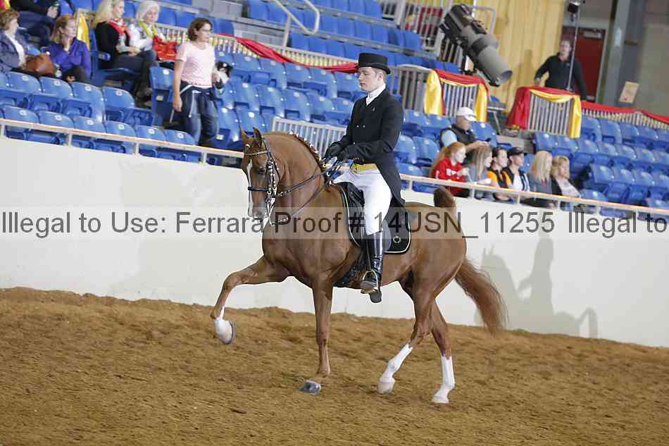 Proof 14usn_11255