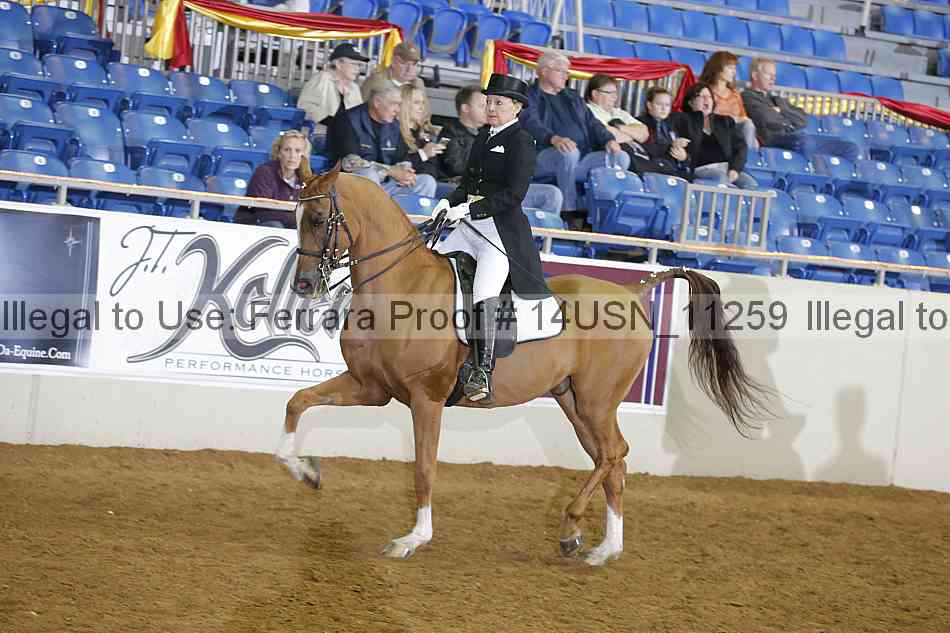Proof 14usn_11259
