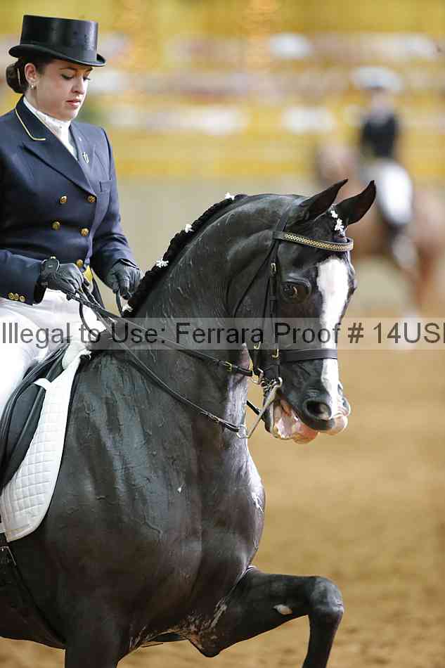 Proof 14usn_11263