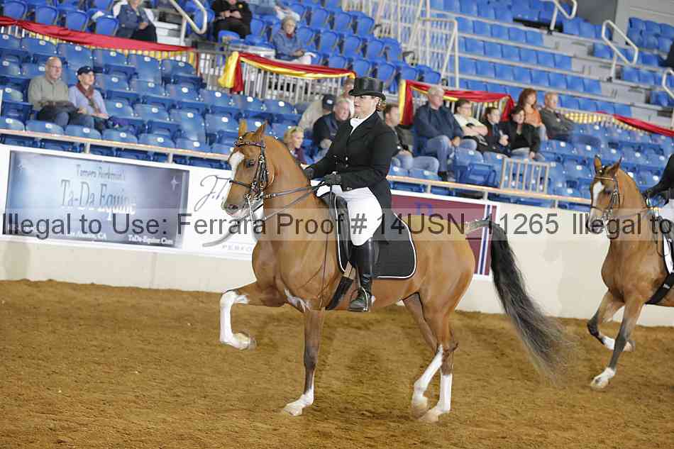Proof 14usn_11265