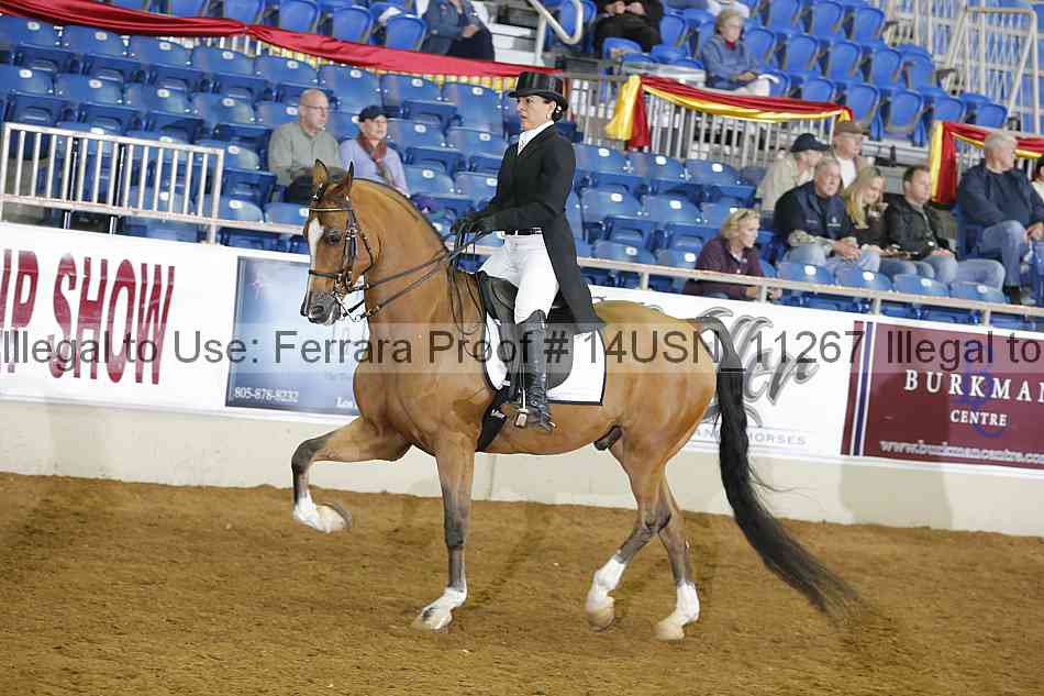 Proof 14usn_11267
