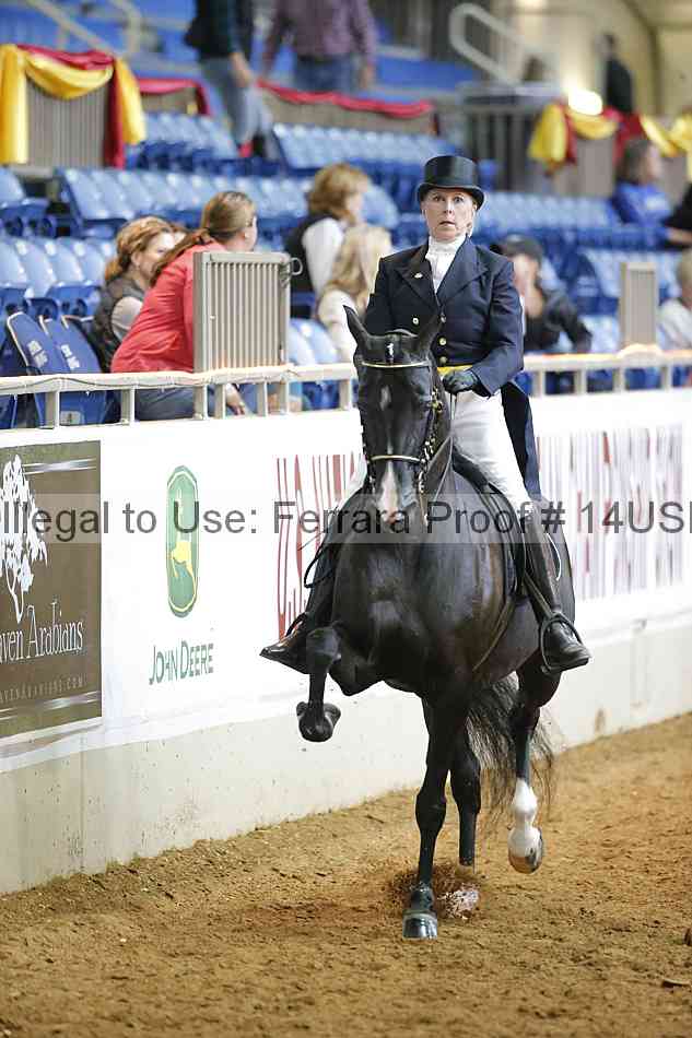 Proof 14usn_11276