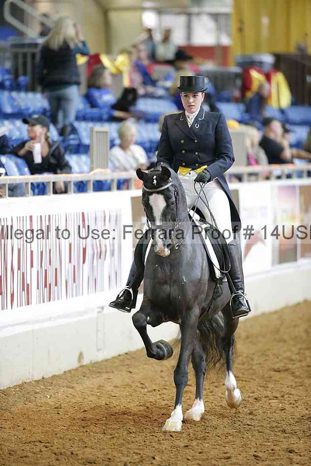 Proof 14usn_11279