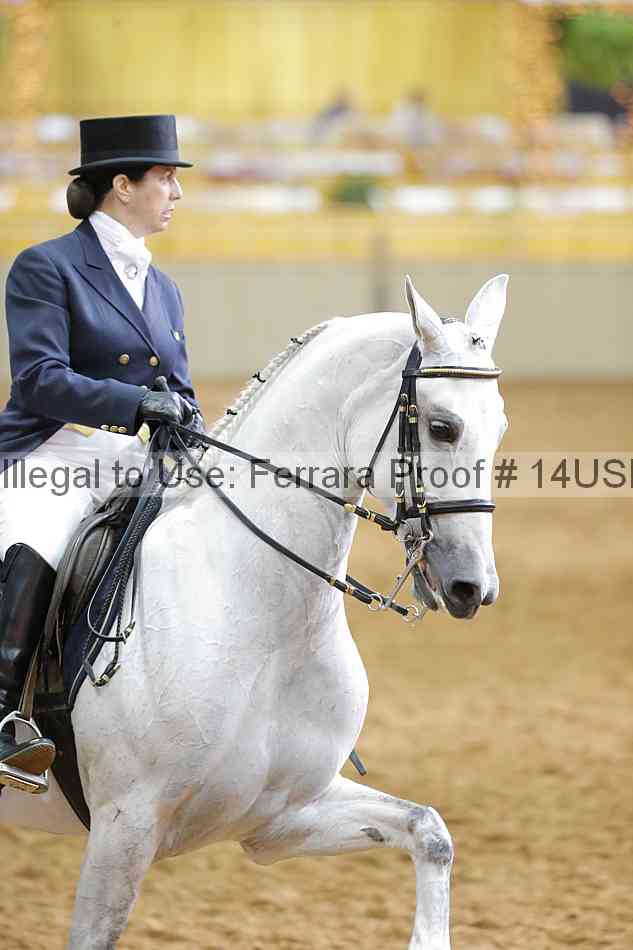 Proof 14usn_11284