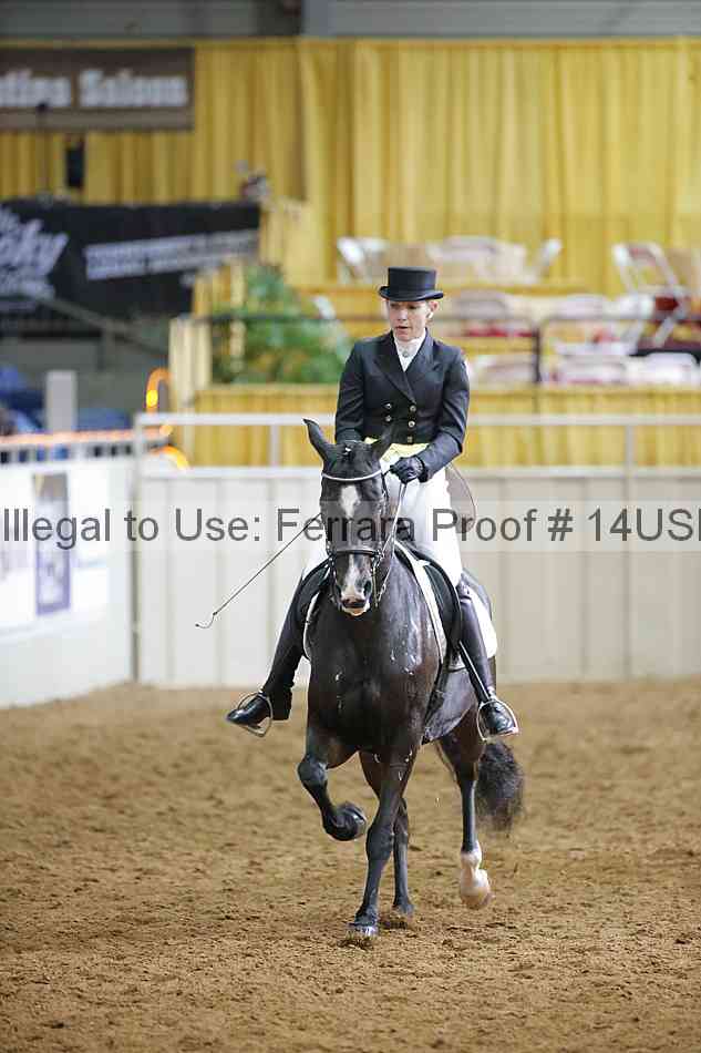 Proof 14usn_11286