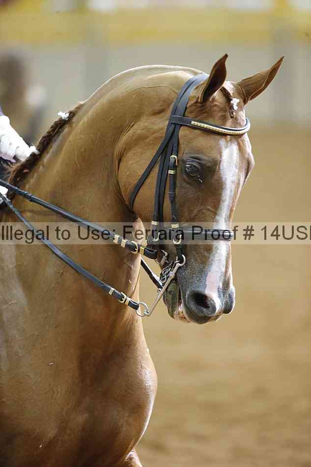 Proof 14usn_11299