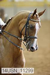 14usn_11299 proof