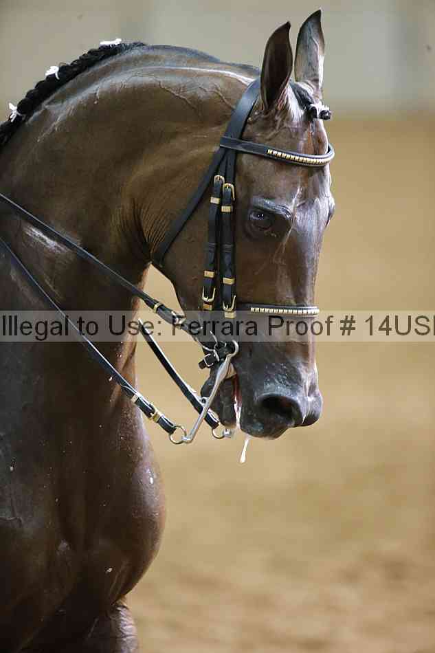 Proof 14usn_11304