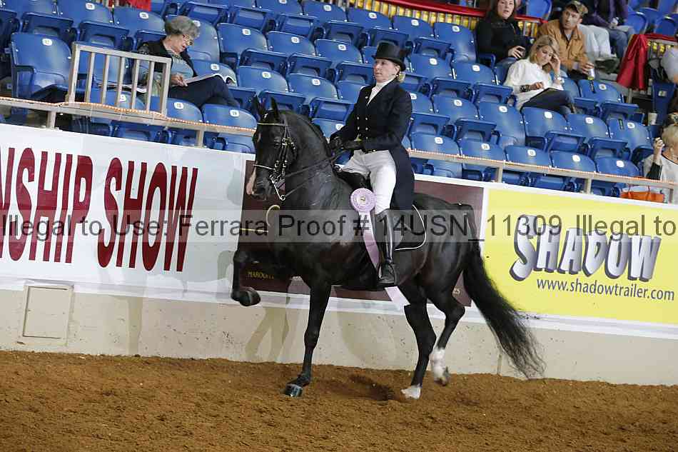 Proof 14usn_11309