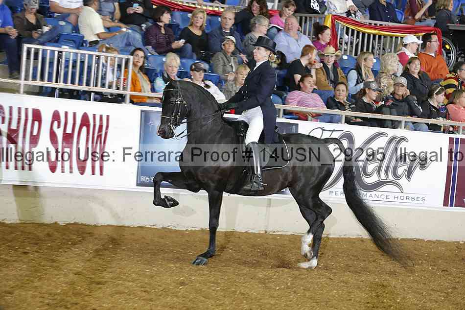 Proof 14usn_29295