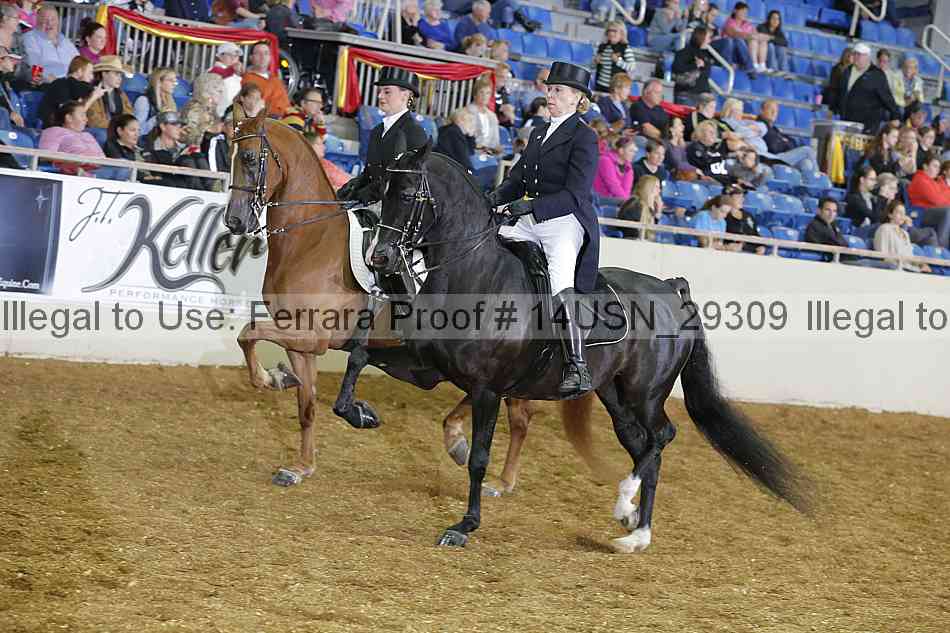 Proof 14usn_29309