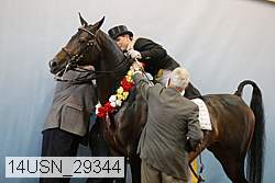 14usn_29344 proof