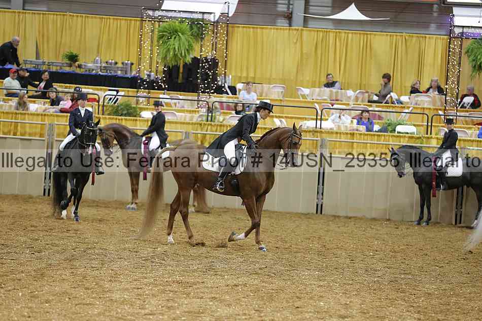 Proof 14usn_29356