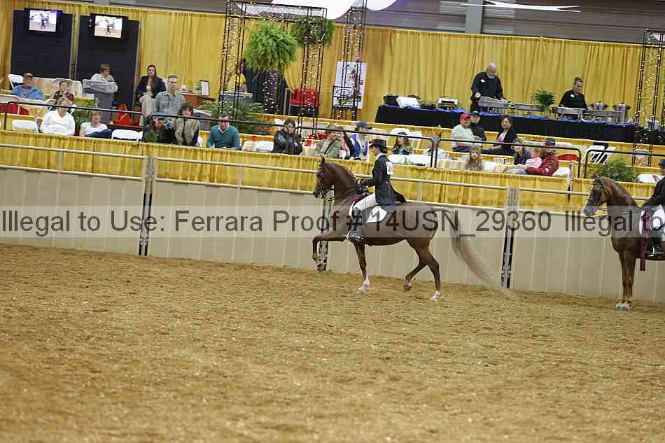 Proof 14usn_29360