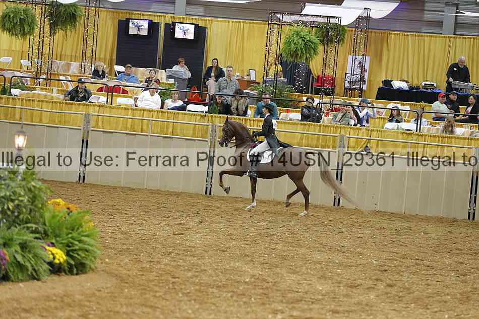 Proof 14usn_29361