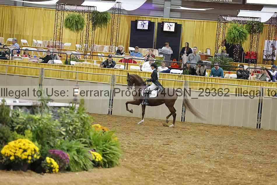 Proof 14usn_29362