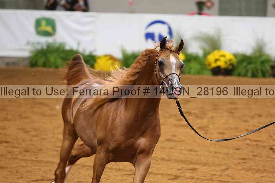 Proof 14usn_28196