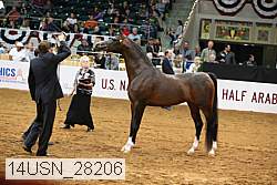 14usn_28206 proof