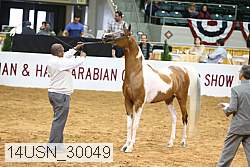 14usn_30049 proof