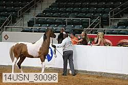 14usn_30096 proof