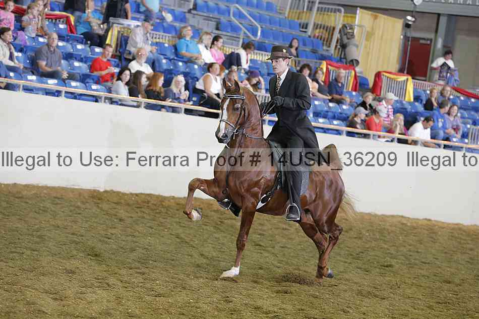 Proof 14usn_36209
