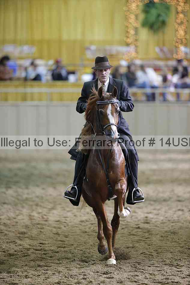 Proof 14usn_36211