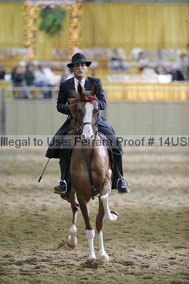 Proof 14usn_36220