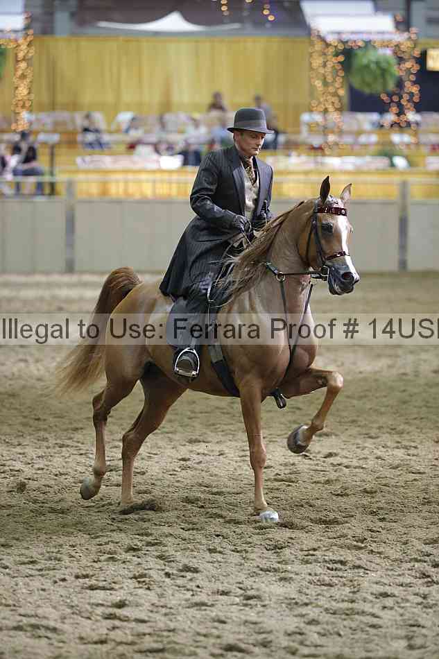 Proof 14usn_36225