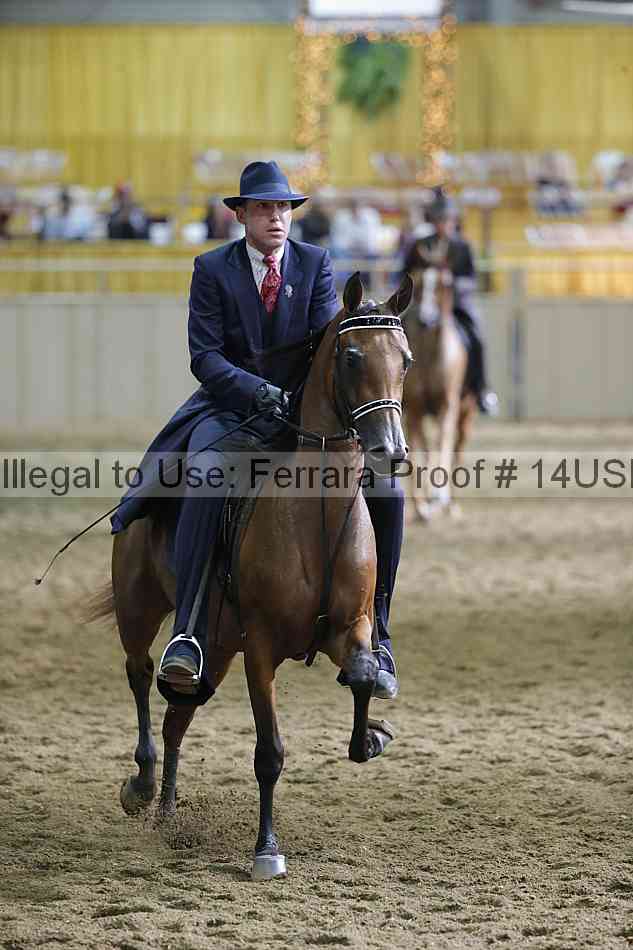Proof 14usn_36246