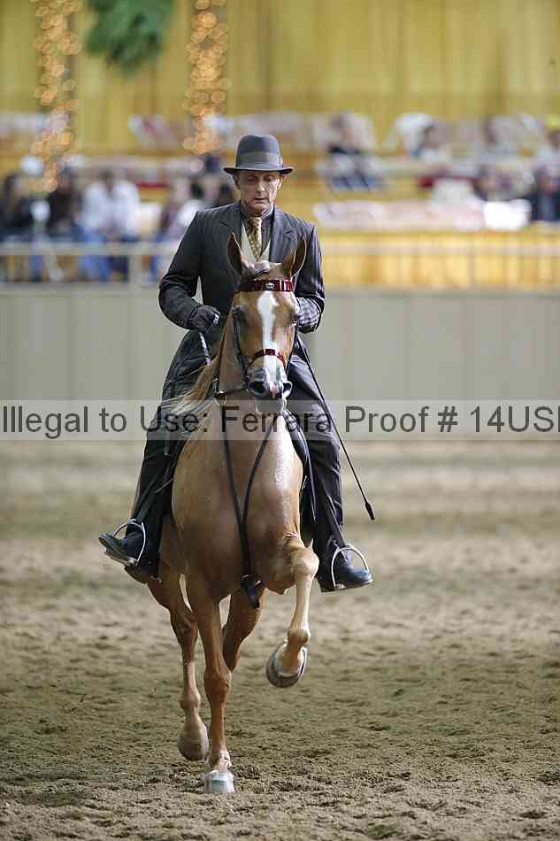 Proof 14usn_36249