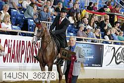 14usn_36278 proof