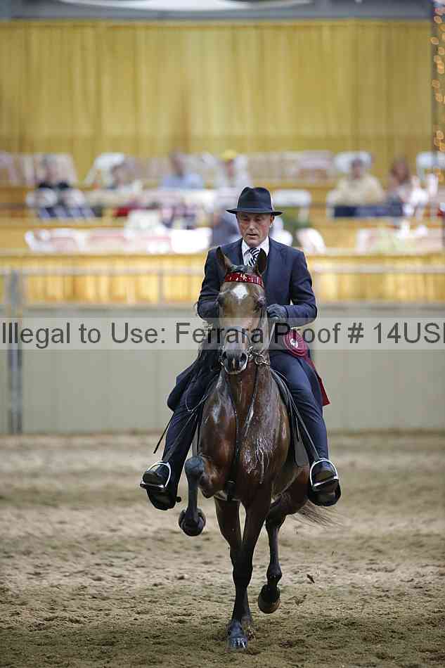 Proof 14usn_36290
