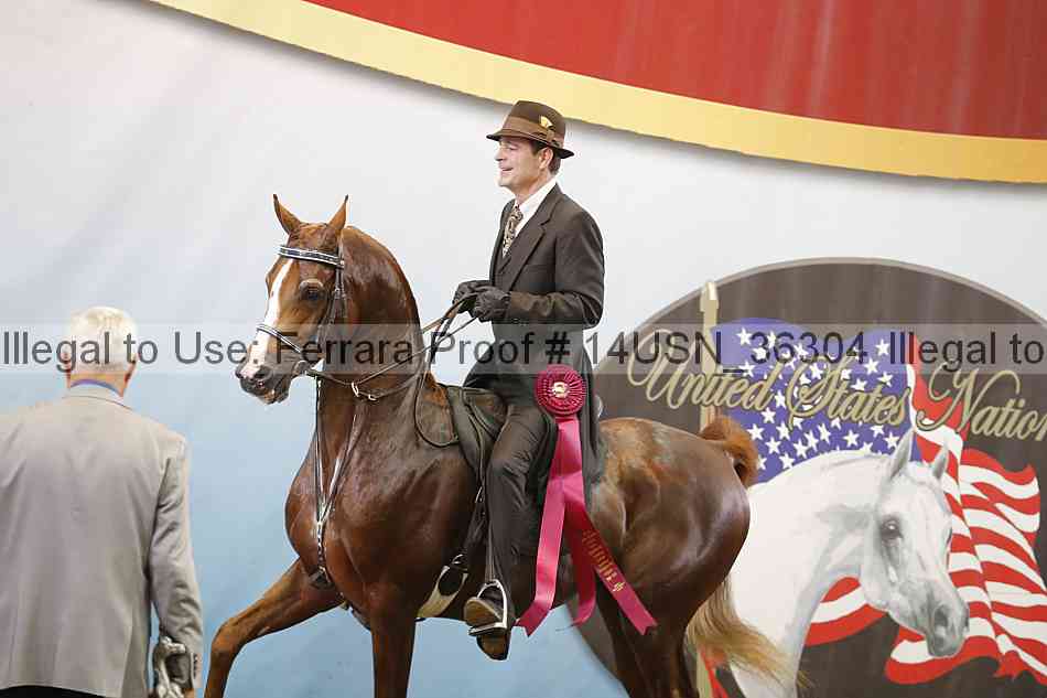 Proof 14usn_36304