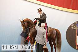 14usn_36305 proof