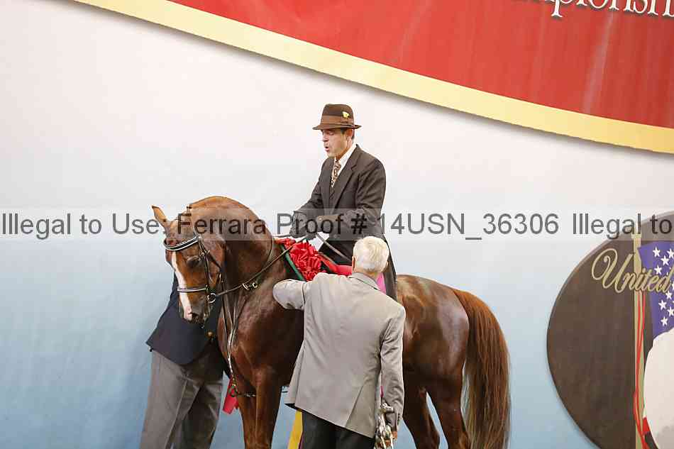 Proof 14usn_36306