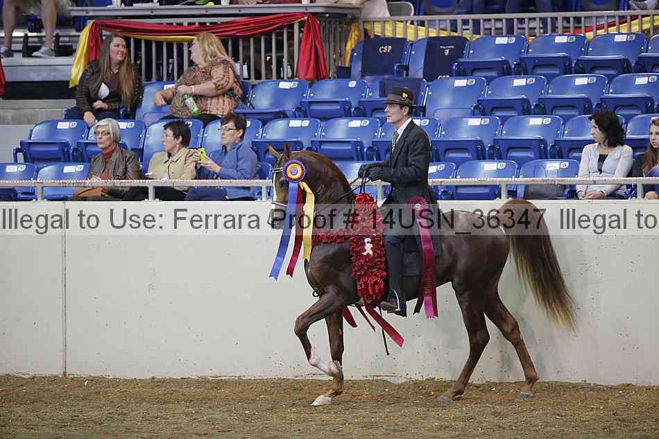 Proof 14usn_36347