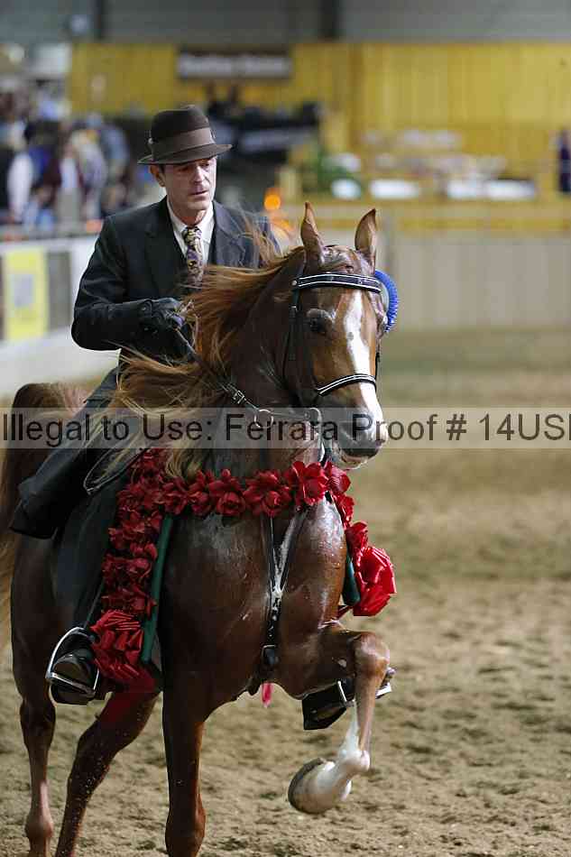 Proof 14usn_36363
