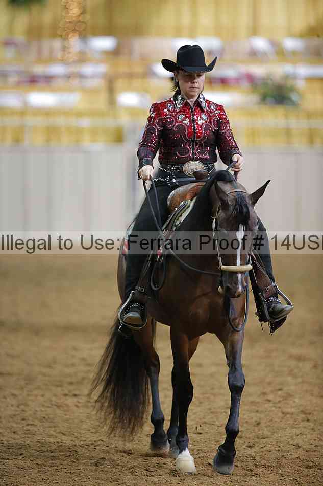 Proof 14usn_07990