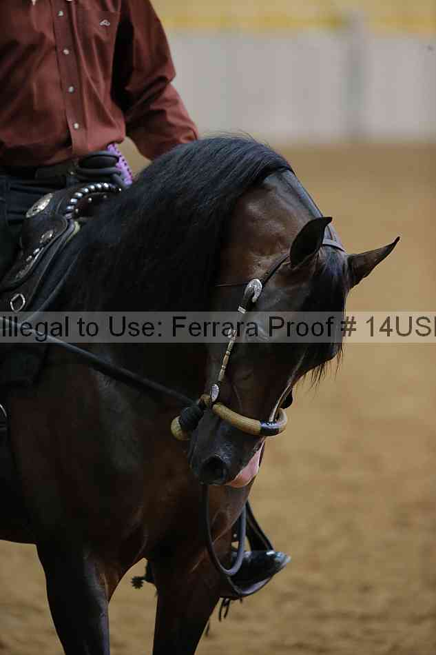 Proof 14usn_08026